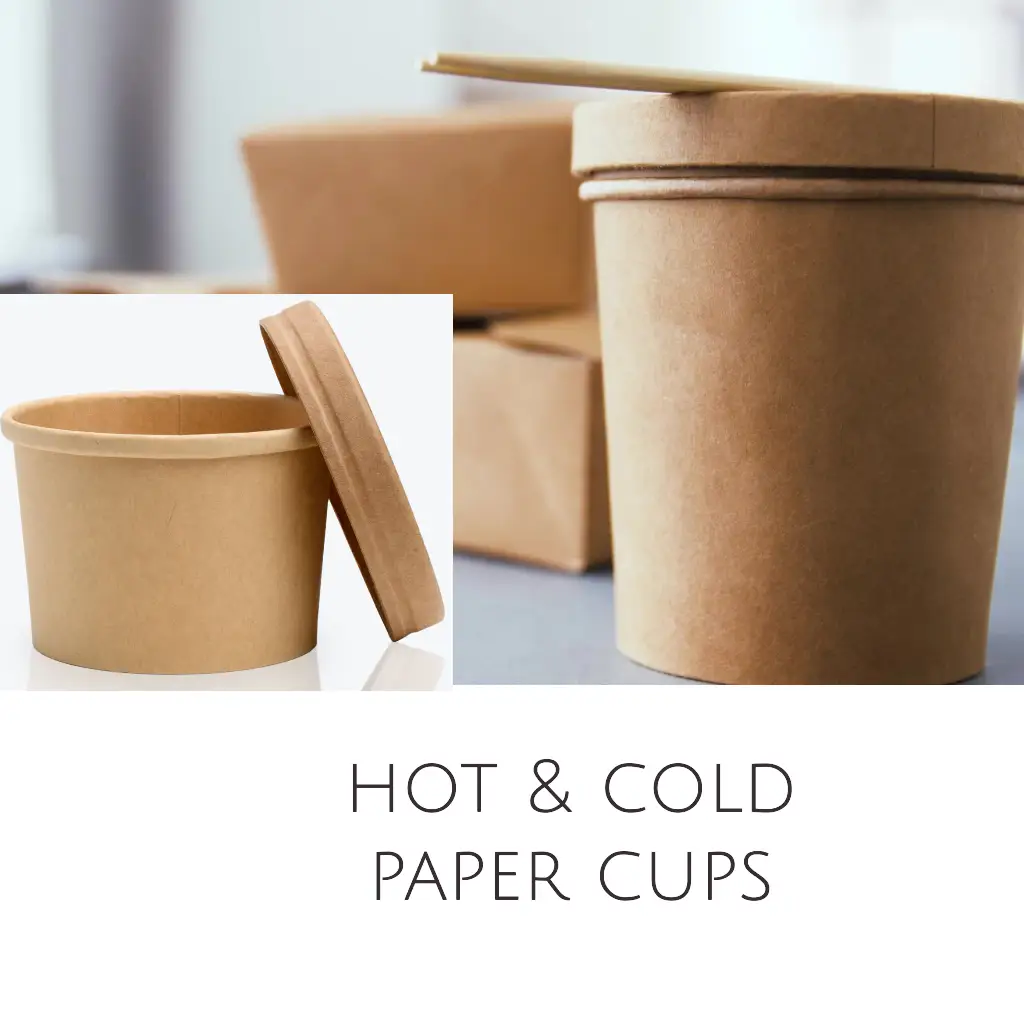 Hot and Cold Takeaway Container
