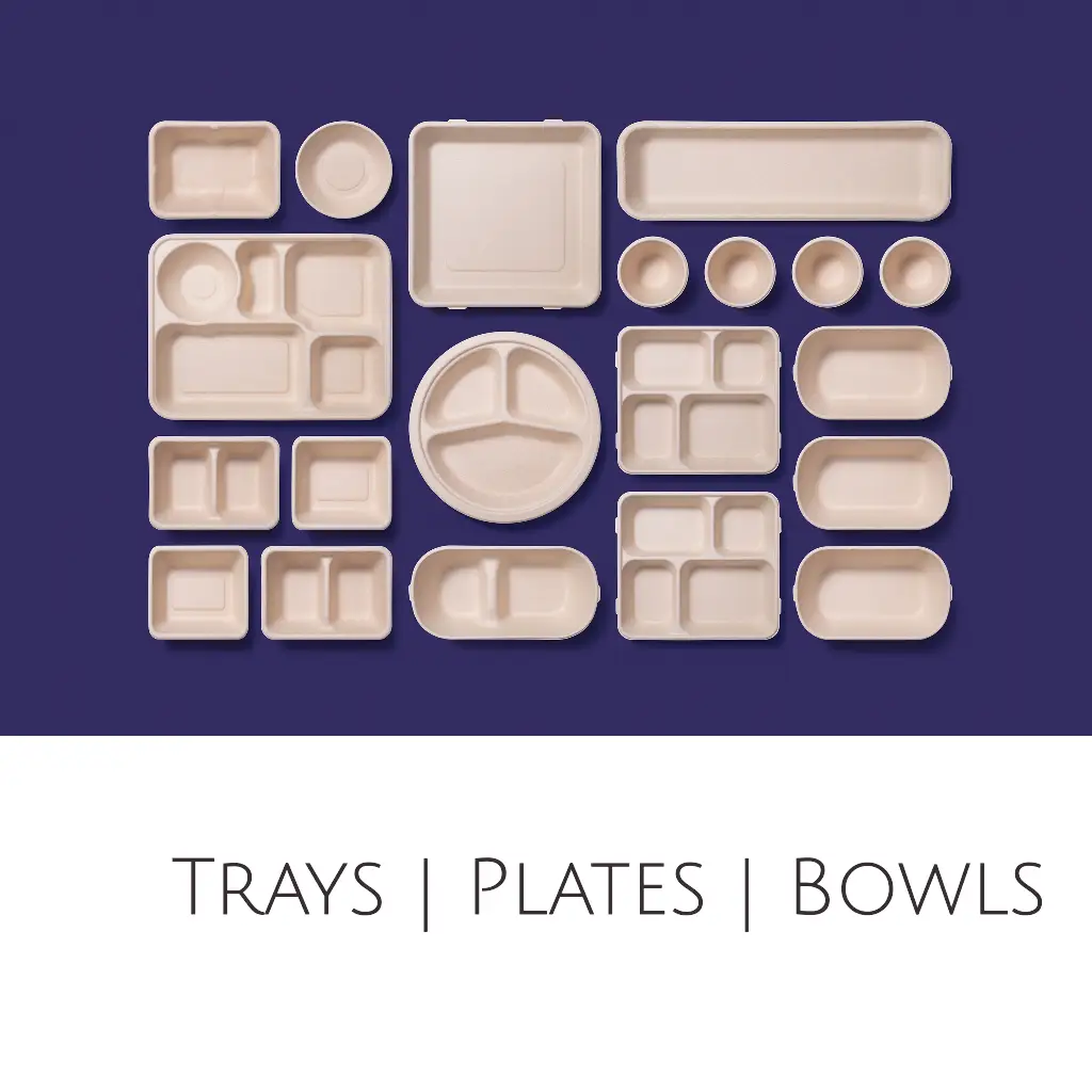 Disposable Takeaway Trays and plates